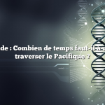 Réponse rapide : Combien de temps faut-il à un cargo pour traverser le Pacifique ?